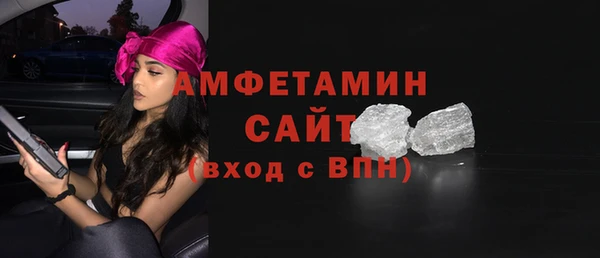хмурый Ельня