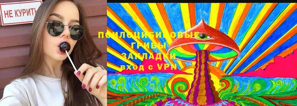 спиды Дмитриев