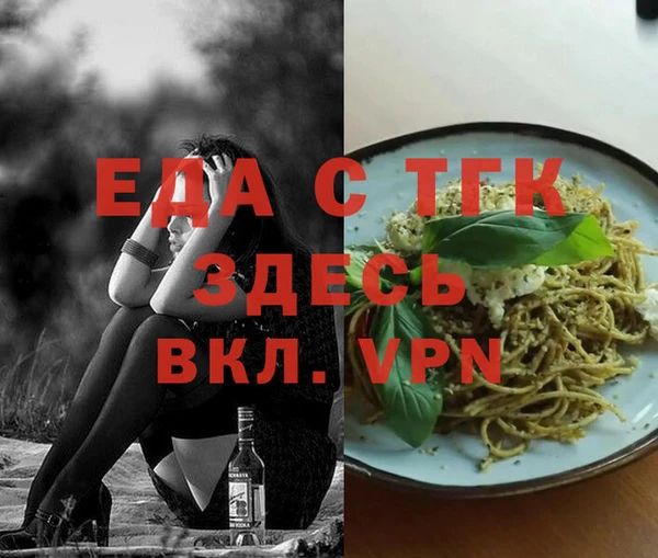 хмурый Ельня