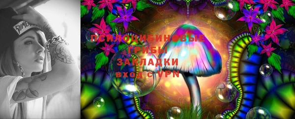 хмурый Ельня