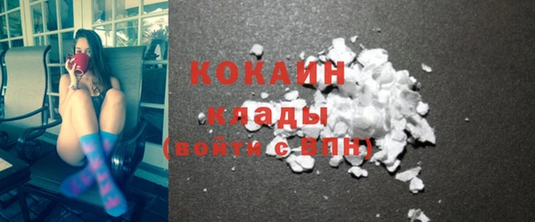 спиды Дмитриев