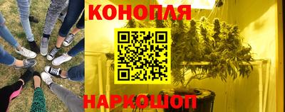 spice Кингисепп