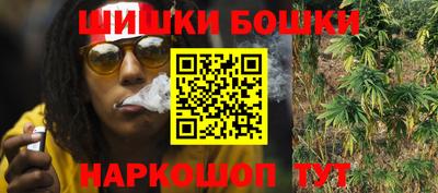 spice Кингисепп
