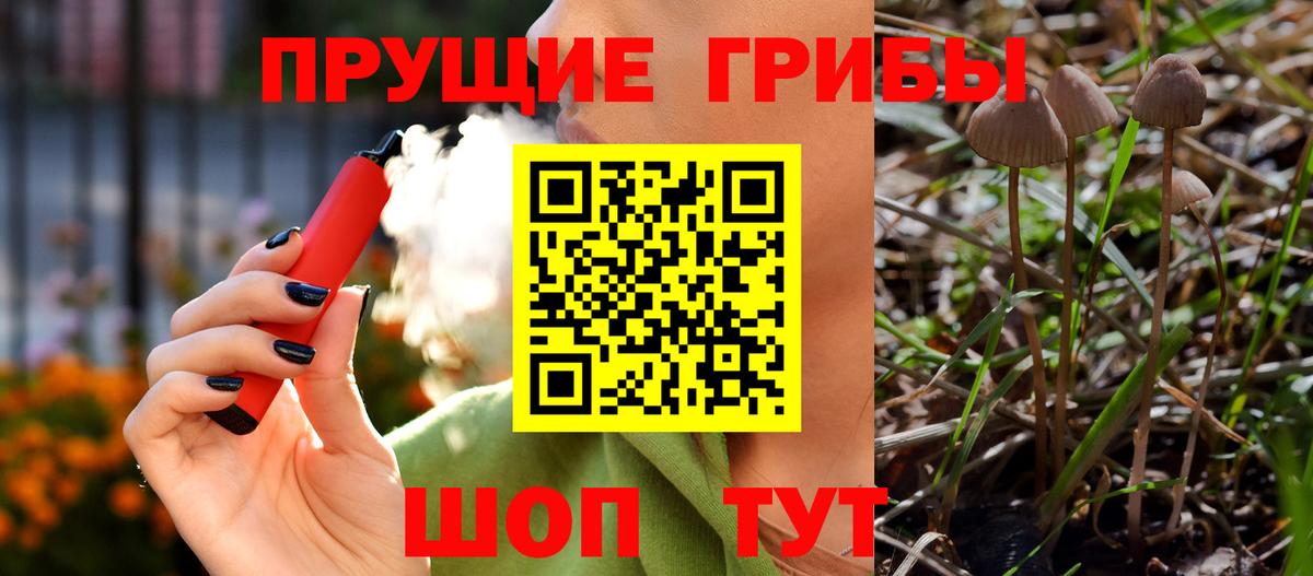 Псилоцибиновые грибы Cubensis Славянск-на-Кубани