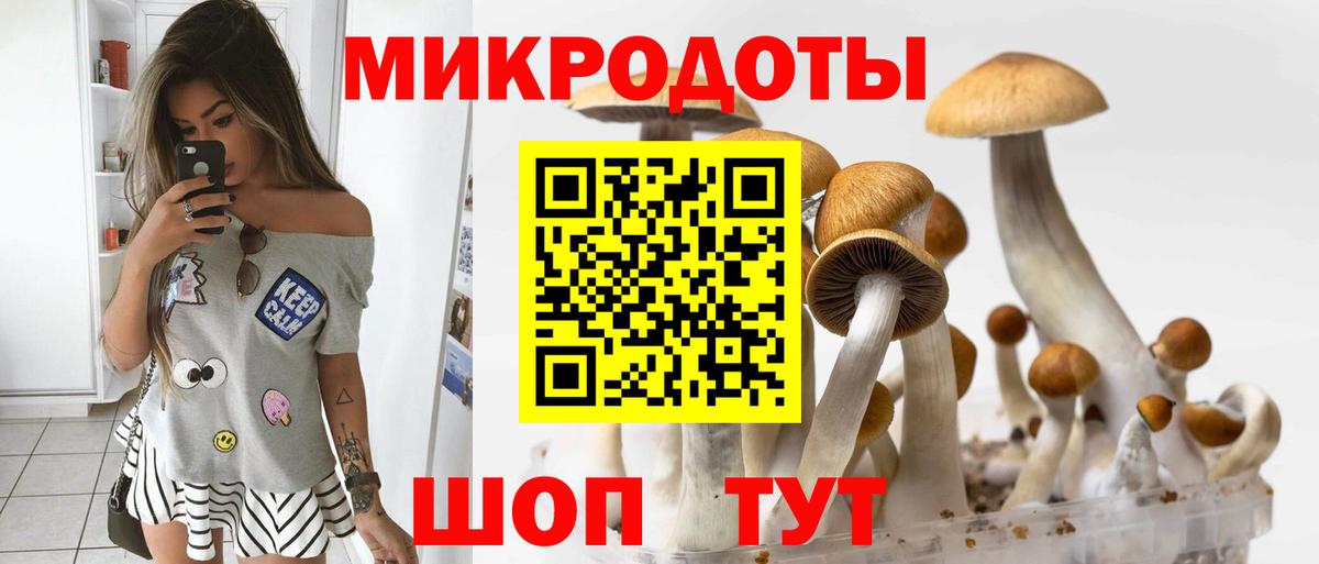 Славянск-на-Кубани  Псилоцибиновые грибы Cubensis  как найти   Вход с VPN  Псилоцибиновые грибы Psilocybine cubensis 