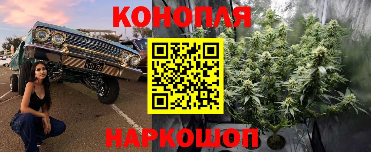 Канабис план  Бошки марихуана марихуана  МАРИХУАНА Bruce Banner  Вход с VPN  Славянск-на-Кубани 